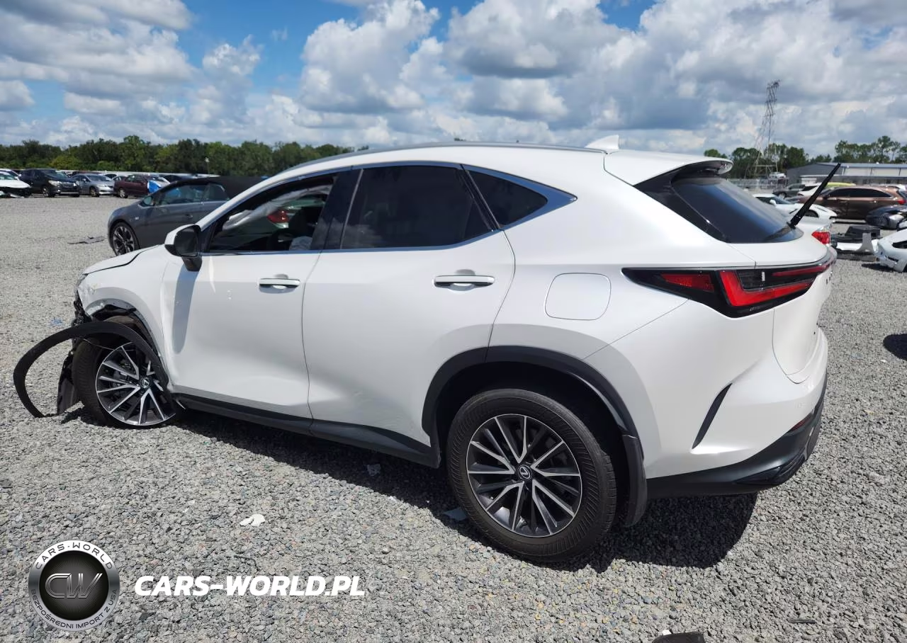2024 Lexus Nx 250 Premium VIN:2T2GDCAZ8RC009061 - 2