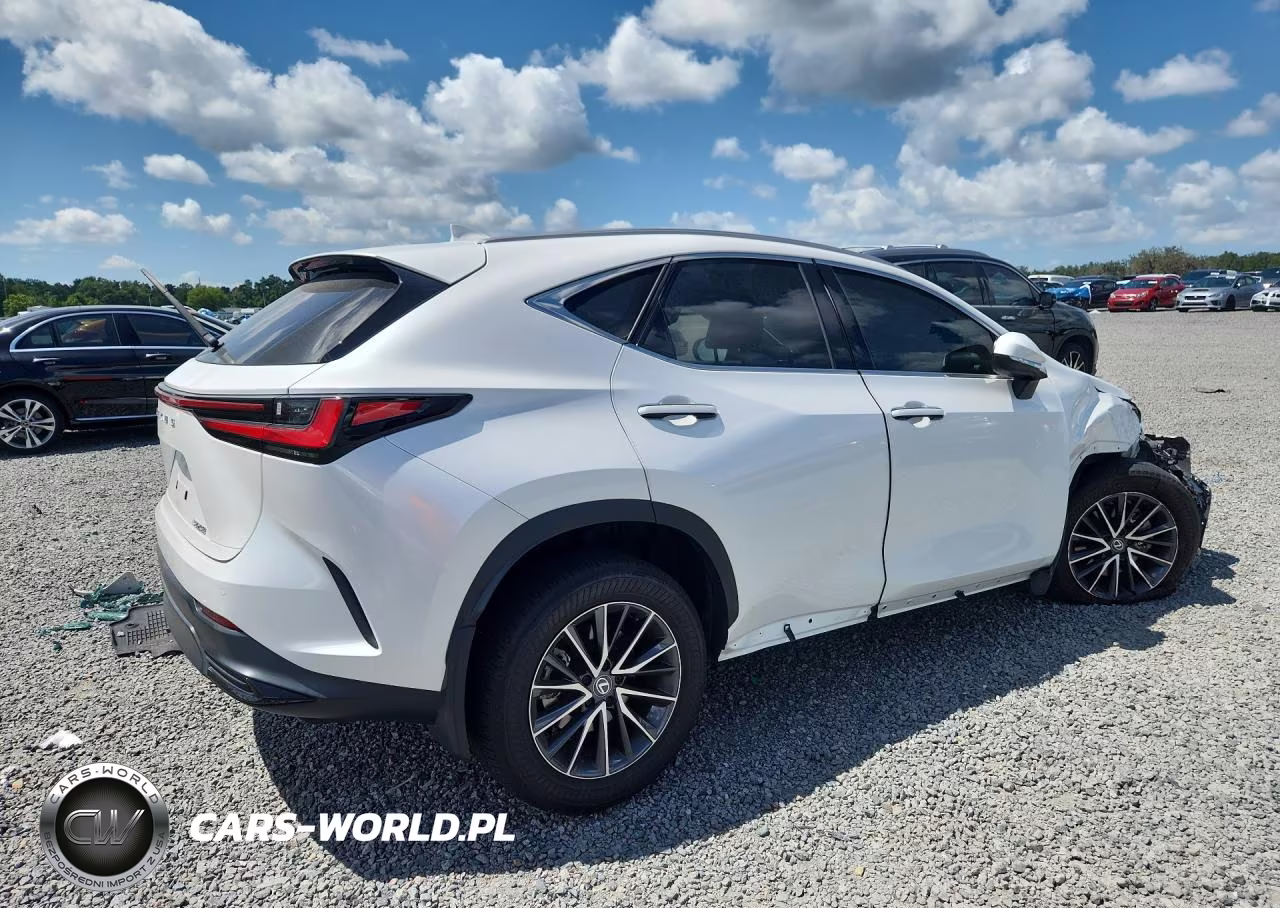 2024 Lexus Nx 250 Premium VIN:2T2GDCAZ8RC009061 - 3