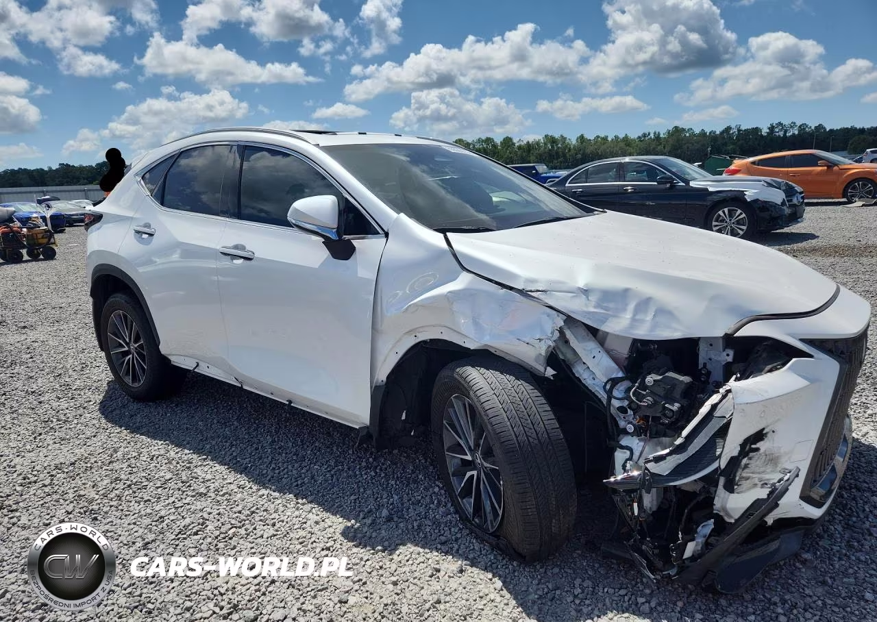 2024 Lexus Nx 250 Premium VIN:2T2GDCAZ8RC009061 - 4