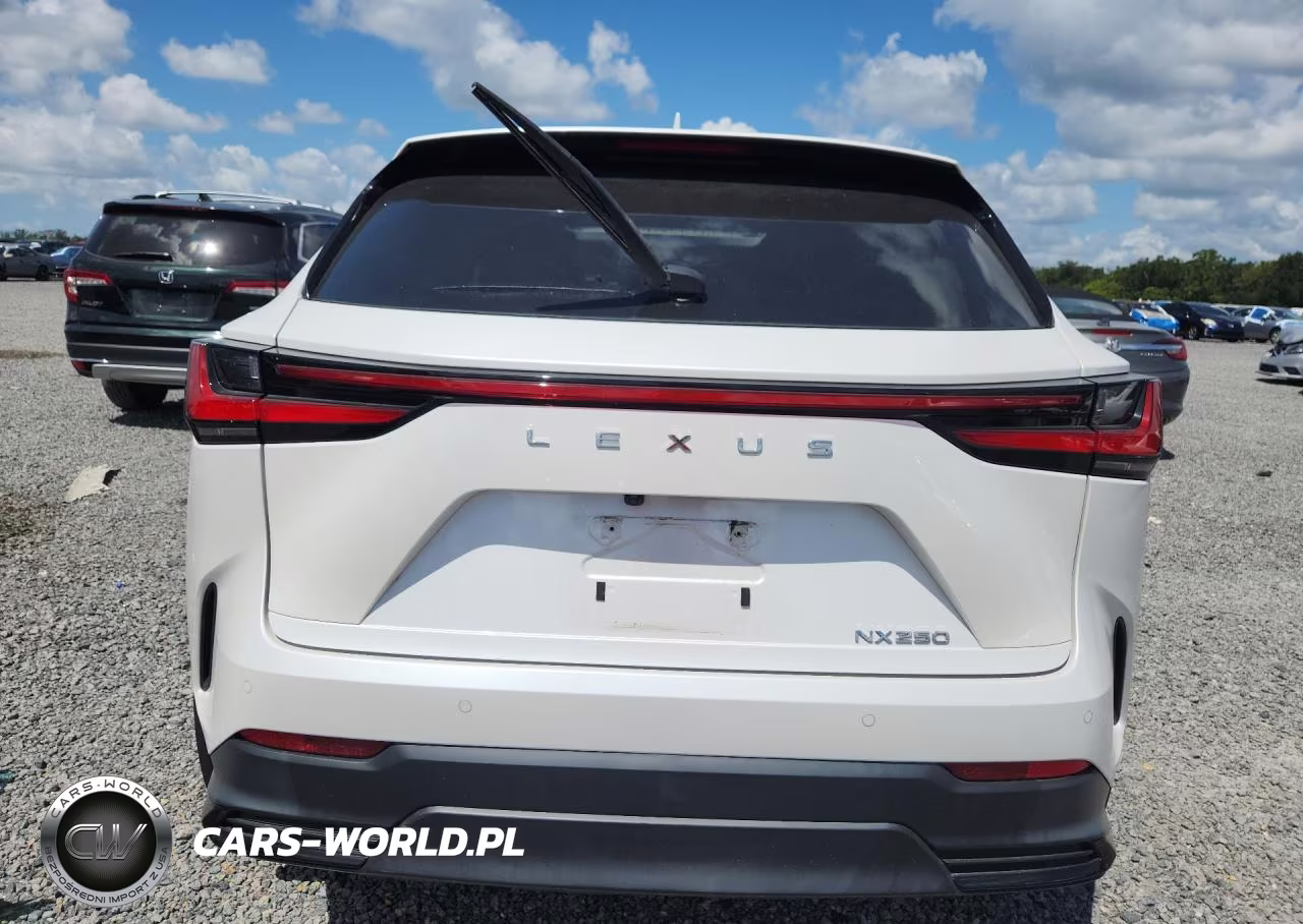 2024 Lexus Nx 250 Premium VIN:2T2GDCAZ8RC009061 - 6
