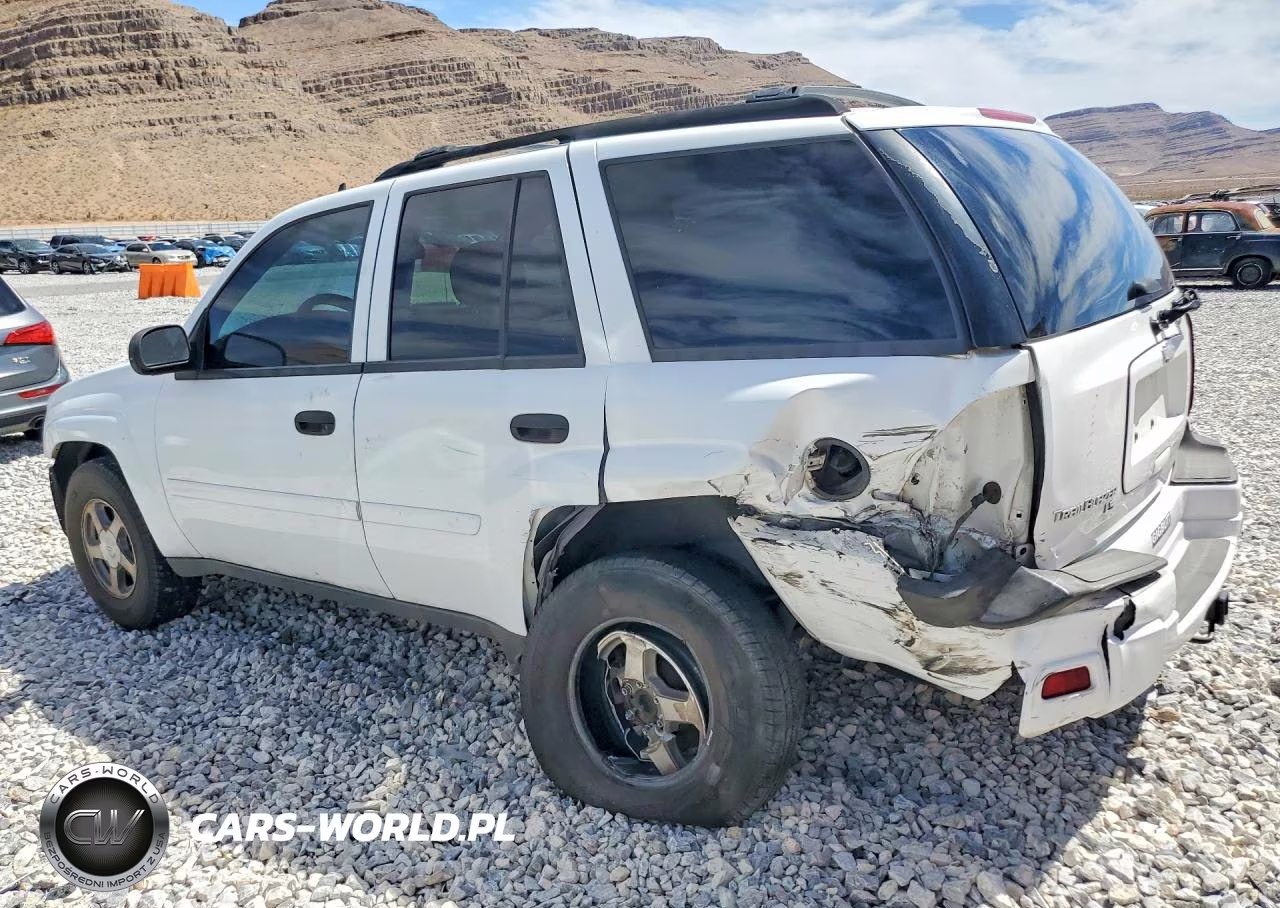 2006 Chevrolet Trailblazer Ls VIN:1GNDS13S662189174 - 2
