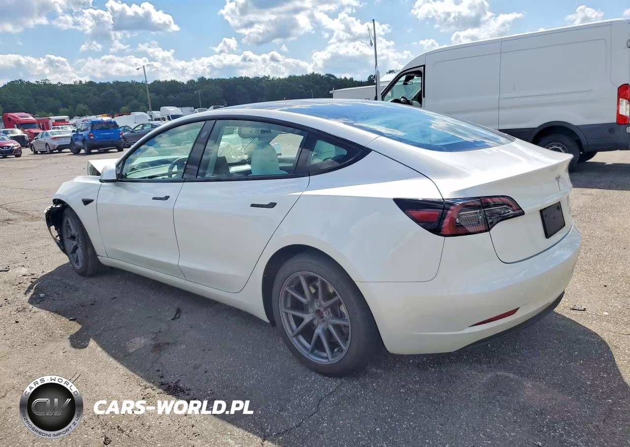 2023 Tesla Model 3 VIN:5YJ3E1EB3PF603051 - 2