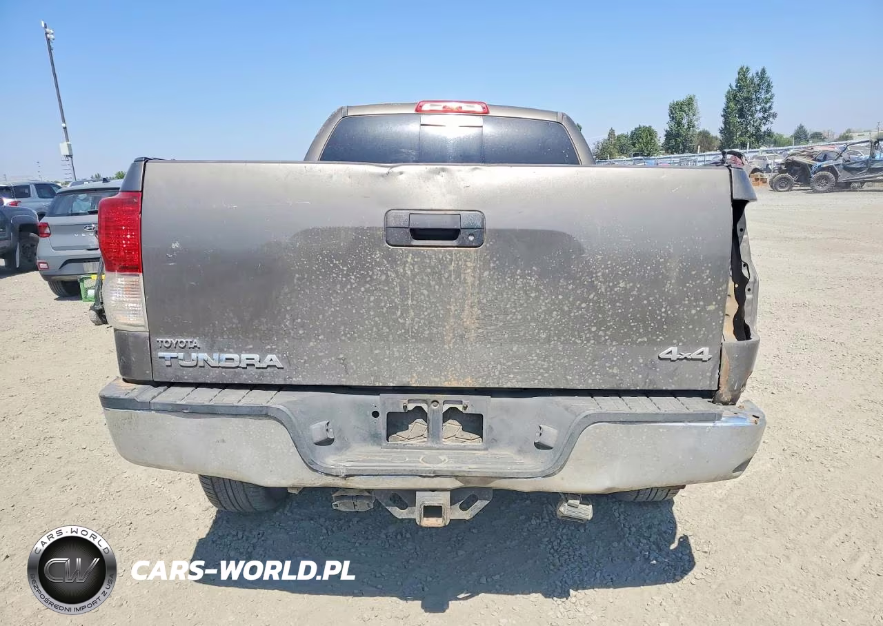 2010 Toyota Tundra Double Cab Sr5 VIN:5TFUY5F1XAX098664 - 6