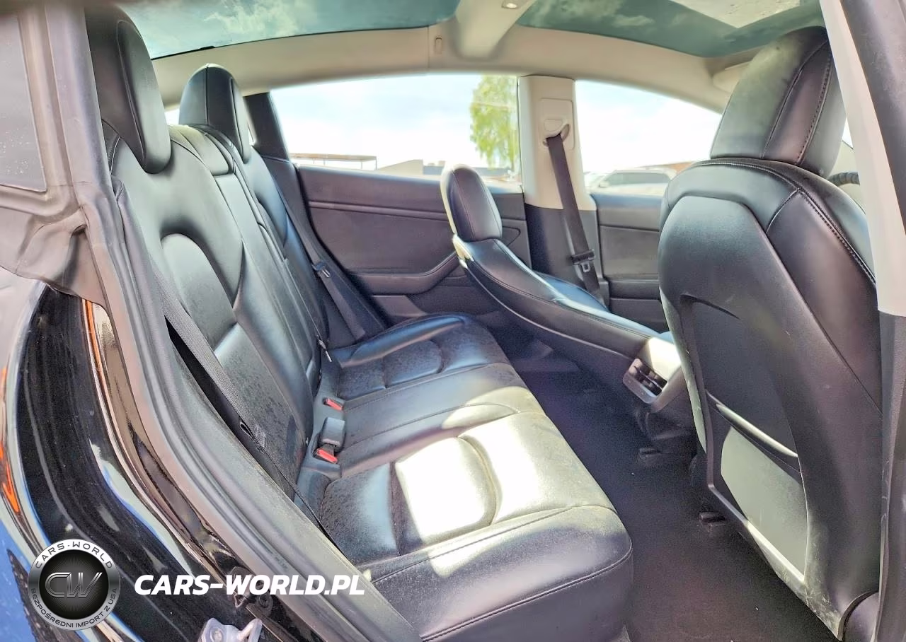2023 Tesla Model 3 VIN:5YJ3E1EA5PF449854 - 10