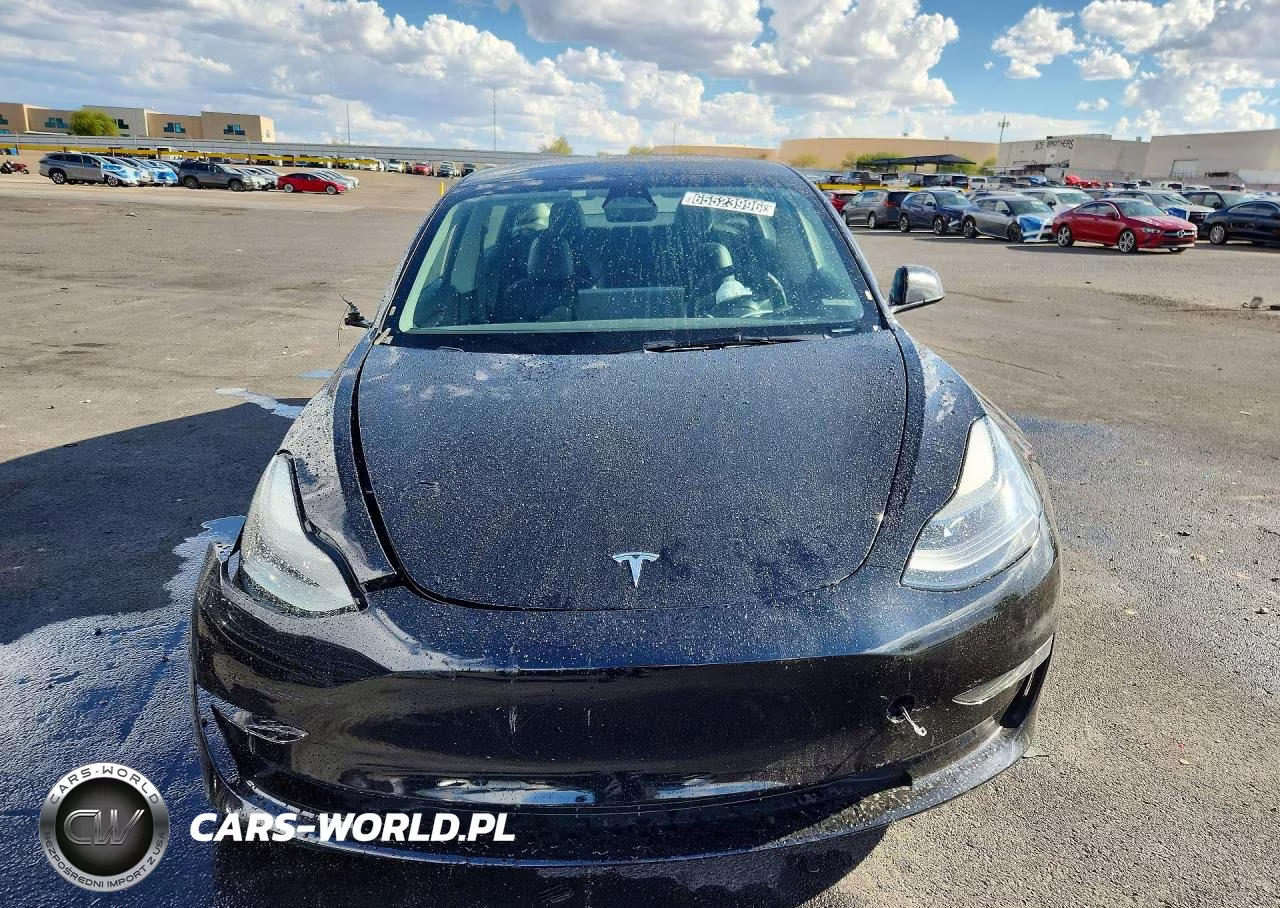 2023 Tesla Model 3 VIN:5YJ3E1EA5PF449854 - 5