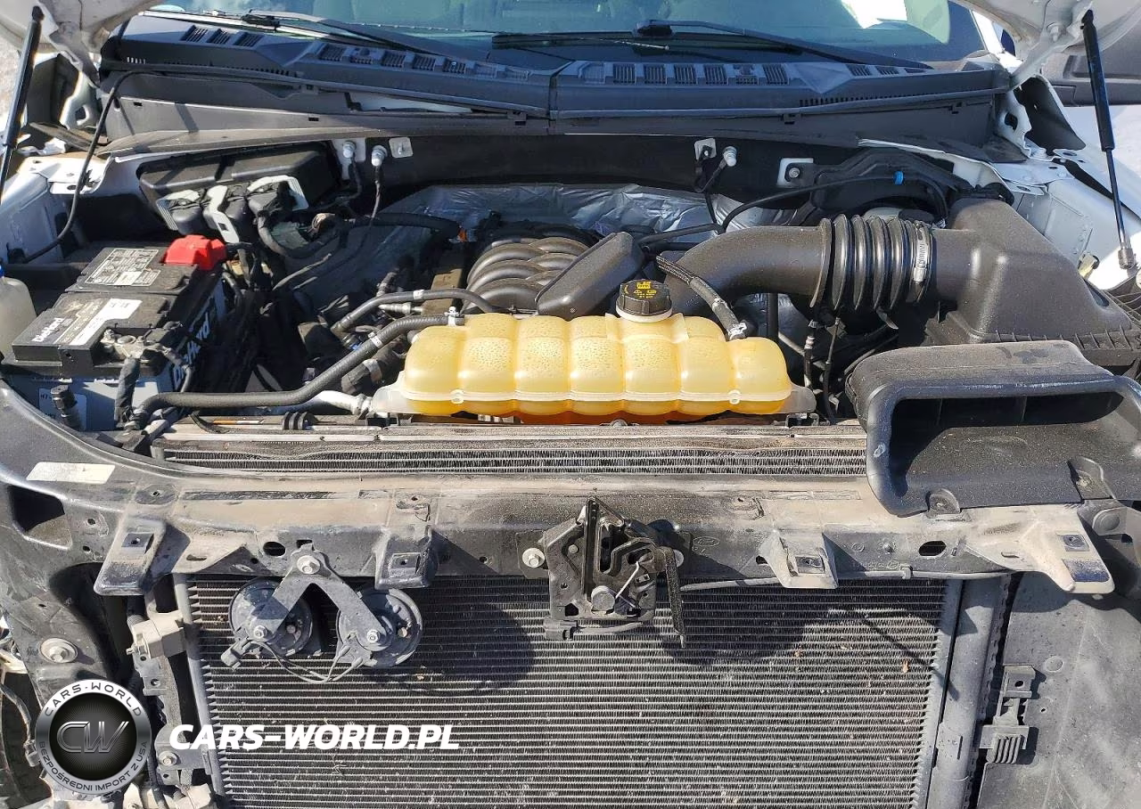 2019 Ford F150 Supercrew VIN:1FTEW1E58KKD51793 - 11