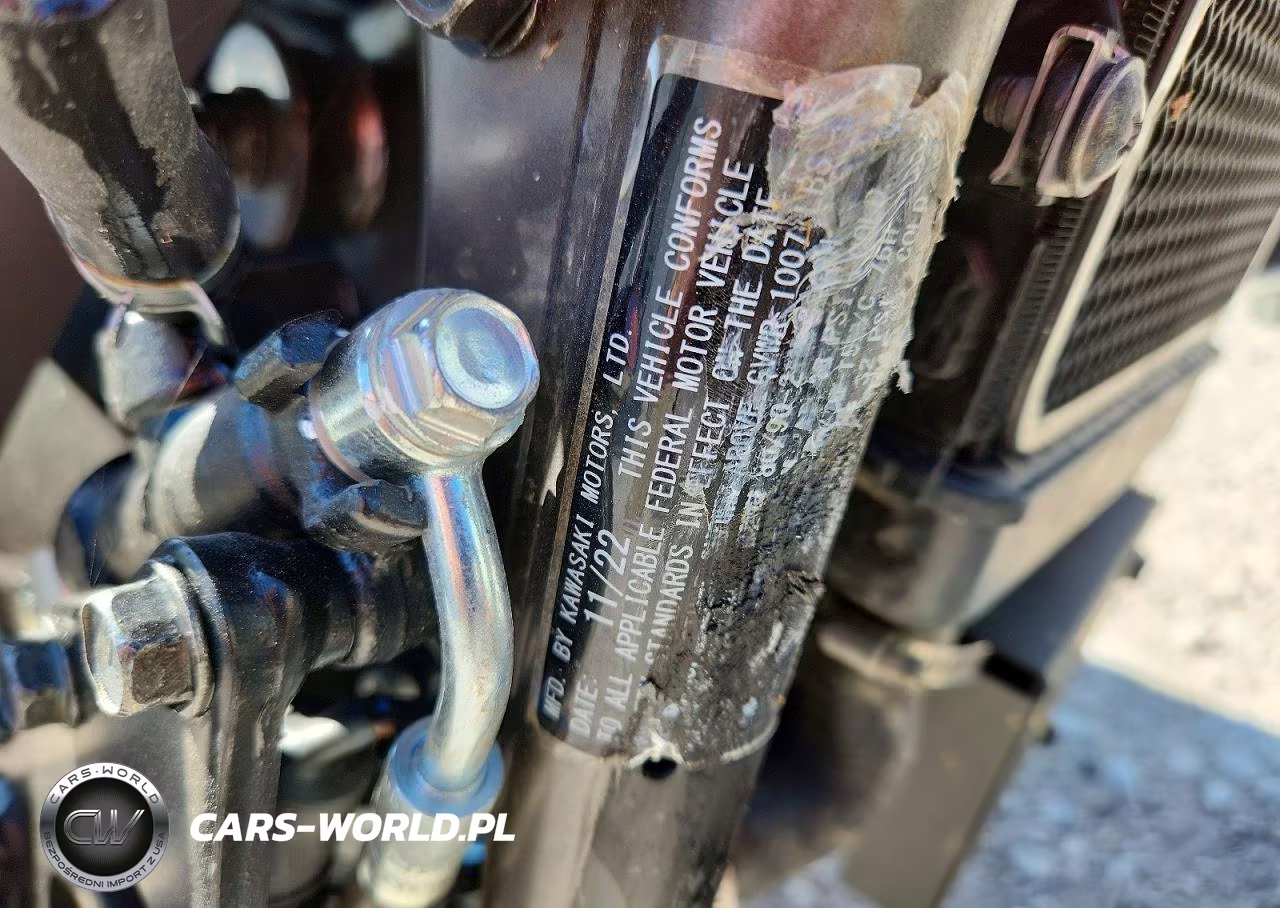 2023 Kawasaki Vn900 F VIN:JKAVN2F15PA000545 - 9