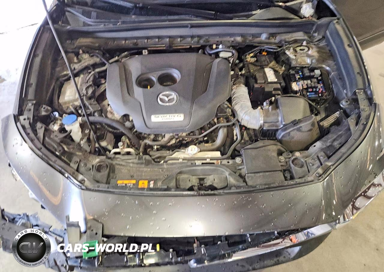 2021 Mazda Cx-30 VIN:3MVDMBAY8MM300442 - 12