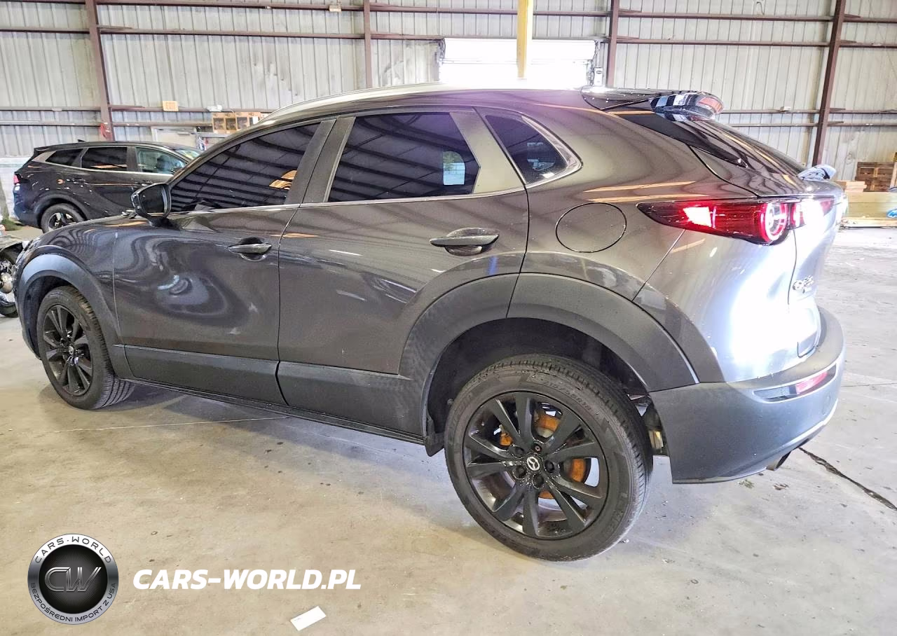 2021 Mazda Cx-30 VIN:3MVDMBAY8MM300442 - 2