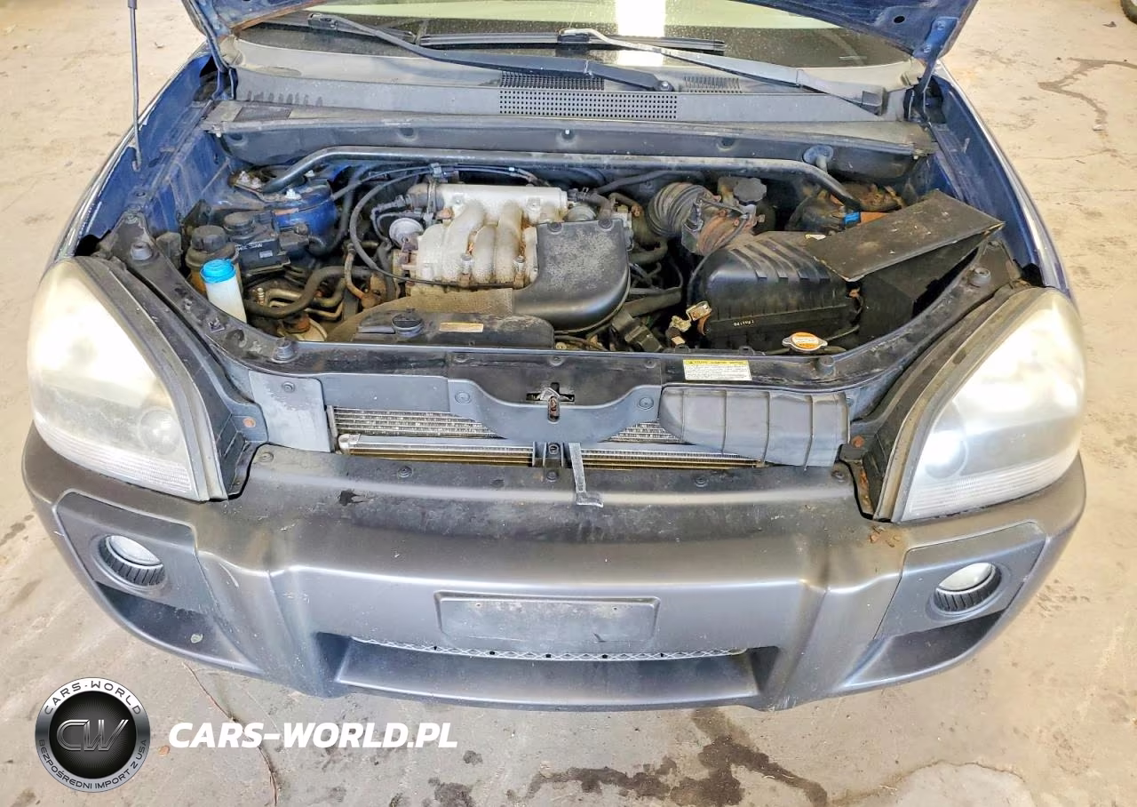 2005 Hyundai Tucson Gls VIN:KM8JN72D45U064021 - 12