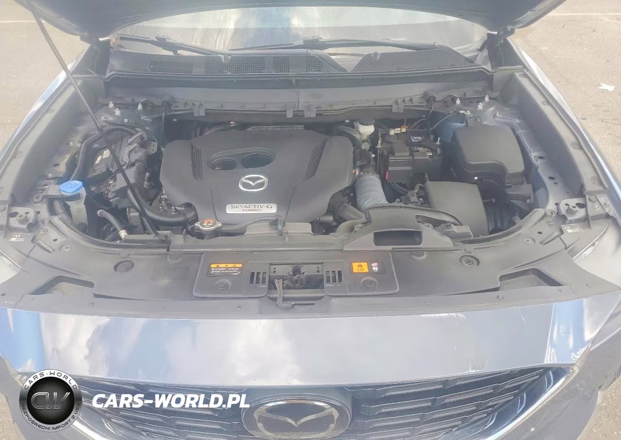 2022 Mazda Cx-9 Grand Touring VIN:JM3TCBDYXN0616819 - 12
