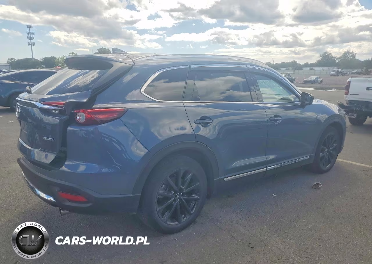 2022 Mazda Cx-9 Grand Touring VIN:JM3TCBDYXN0616819 - 3