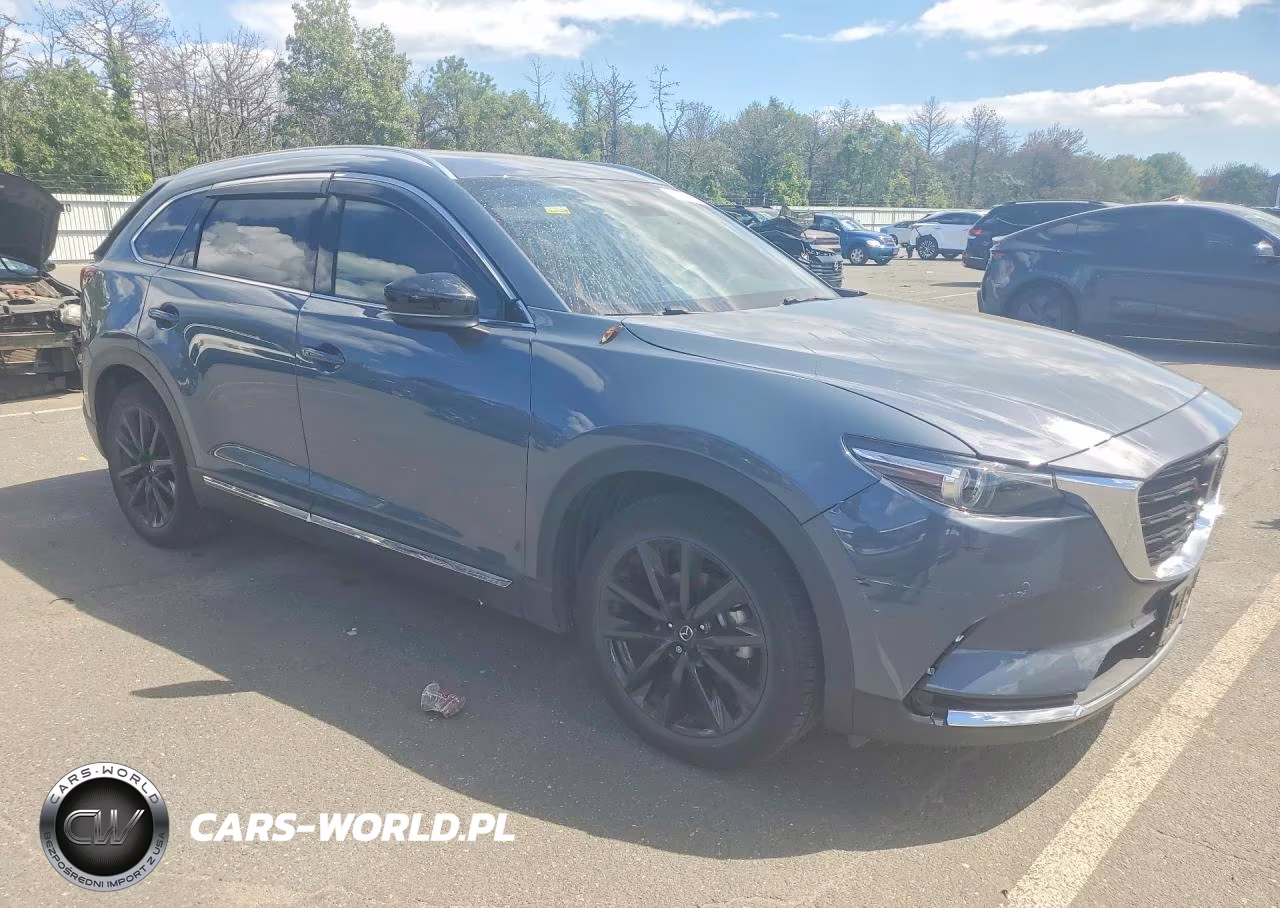 2022 Mazda Cx-9 Grand Touring VIN:JM3TCBDYXN0616819 - 4