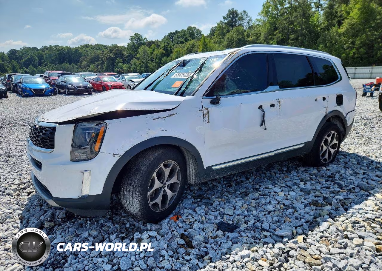 2022 Kia Telluride Ex VIN:5XYP34HC4NG217693 - 1