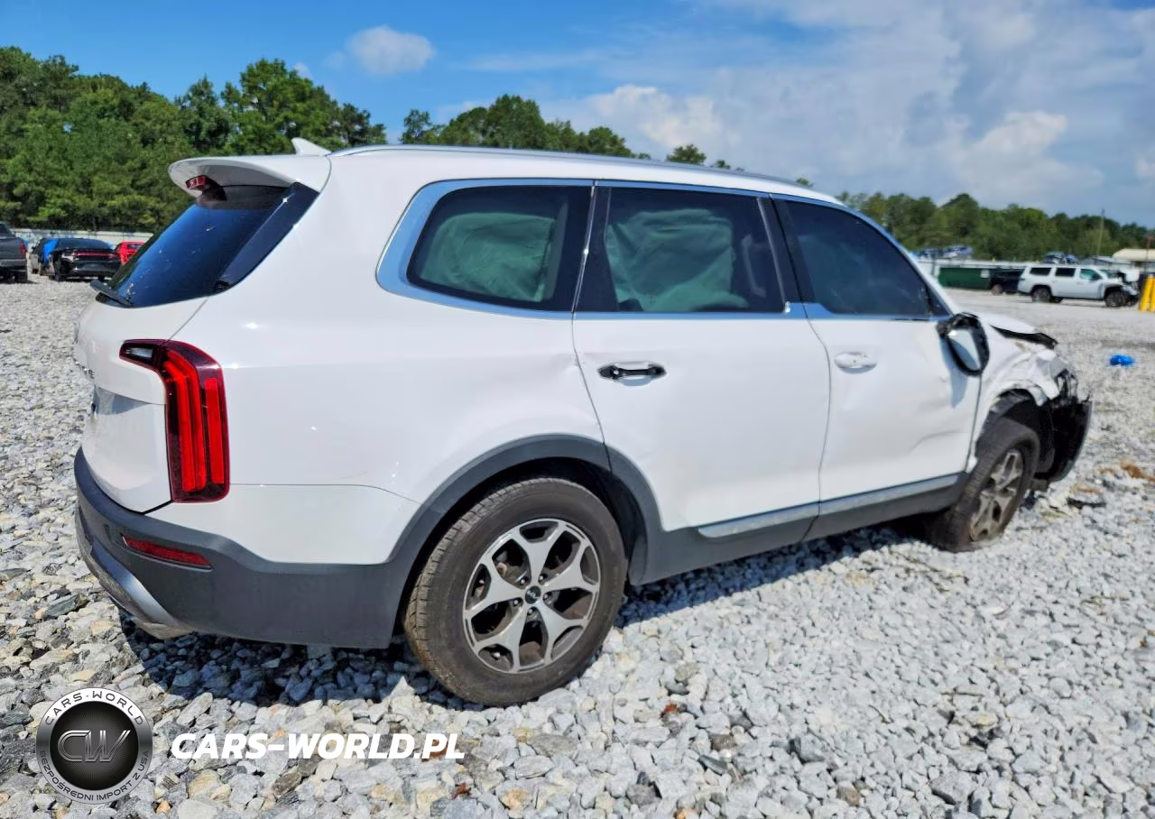 2022 Kia Telluride Ex VIN:5XYP34HC4NG217693 - 3