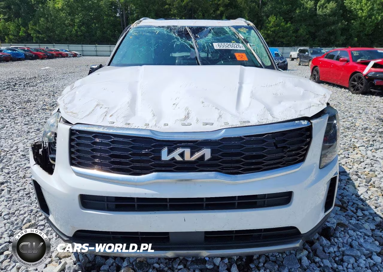 2022 Kia Telluride Ex VIN:5XYP34HC4NG217693 - 5