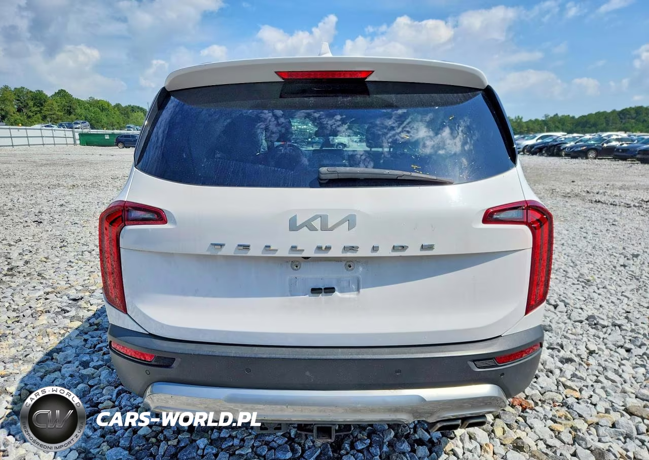 2022 Kia Telluride Ex VIN:5XYP34HC4NG217693 - 6