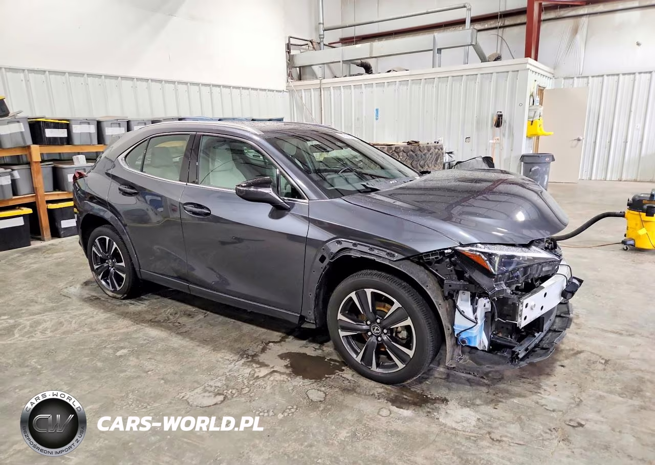 2025 Lexus Ux 300H Premium VIN:JTHUCJDH6S2005711 - 4