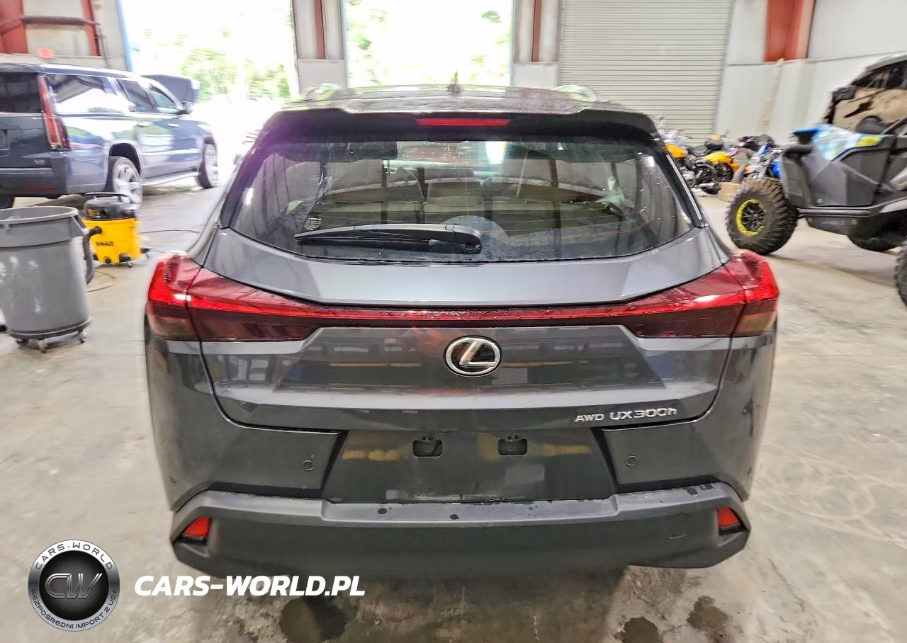 2025 Lexus Ux 300H Premium VIN:JTHUCJDH6S2005711 - 6
