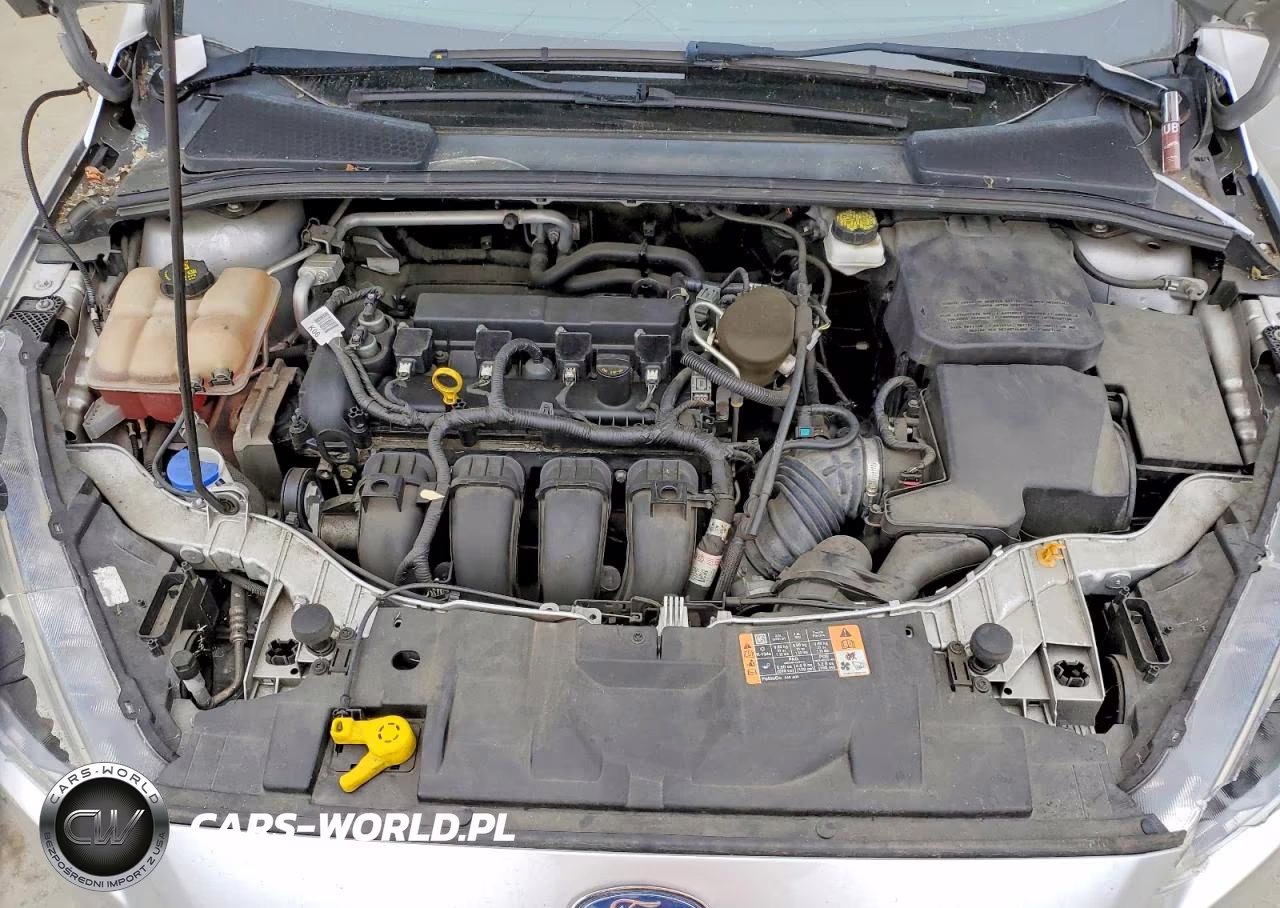 2016 Ford Focus Se VIN:1FADP3K2XGL301709 - 11