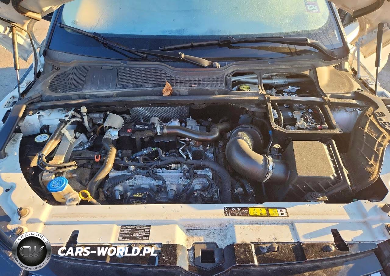 2019 Land Rover Range Rover Evoque Se VIN:SALVP2RX9KH346655 - 12