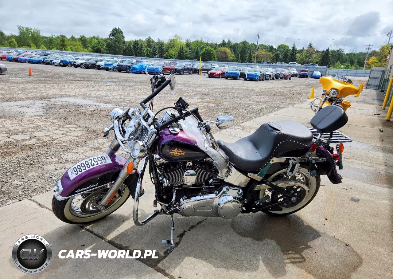 2011 Harley-Davidson Flstc VIN:1HD1BW517BB019752 - 3