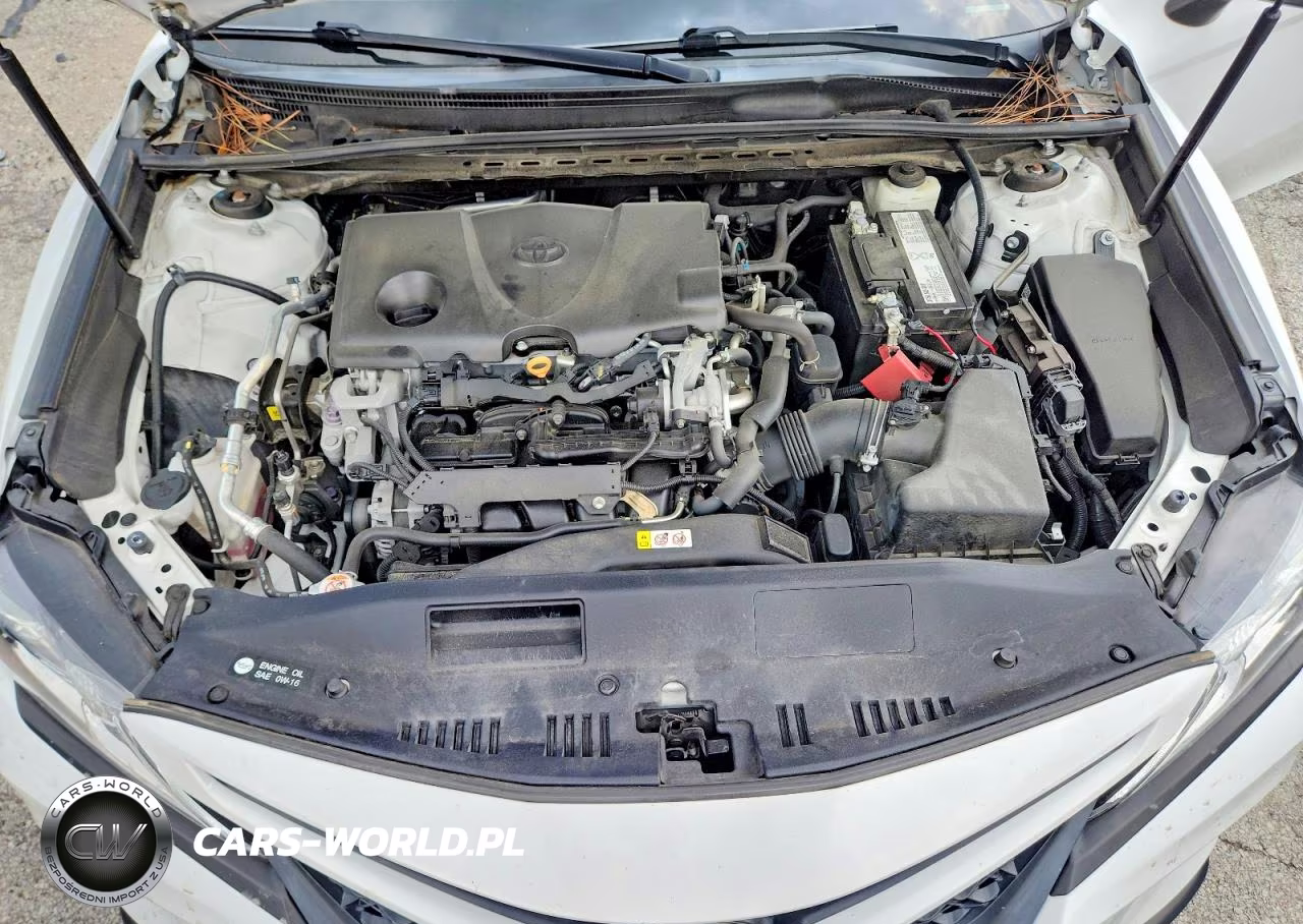 2019 Toyota Camry Se VIN:4T1B11HK8KU845655 - 11