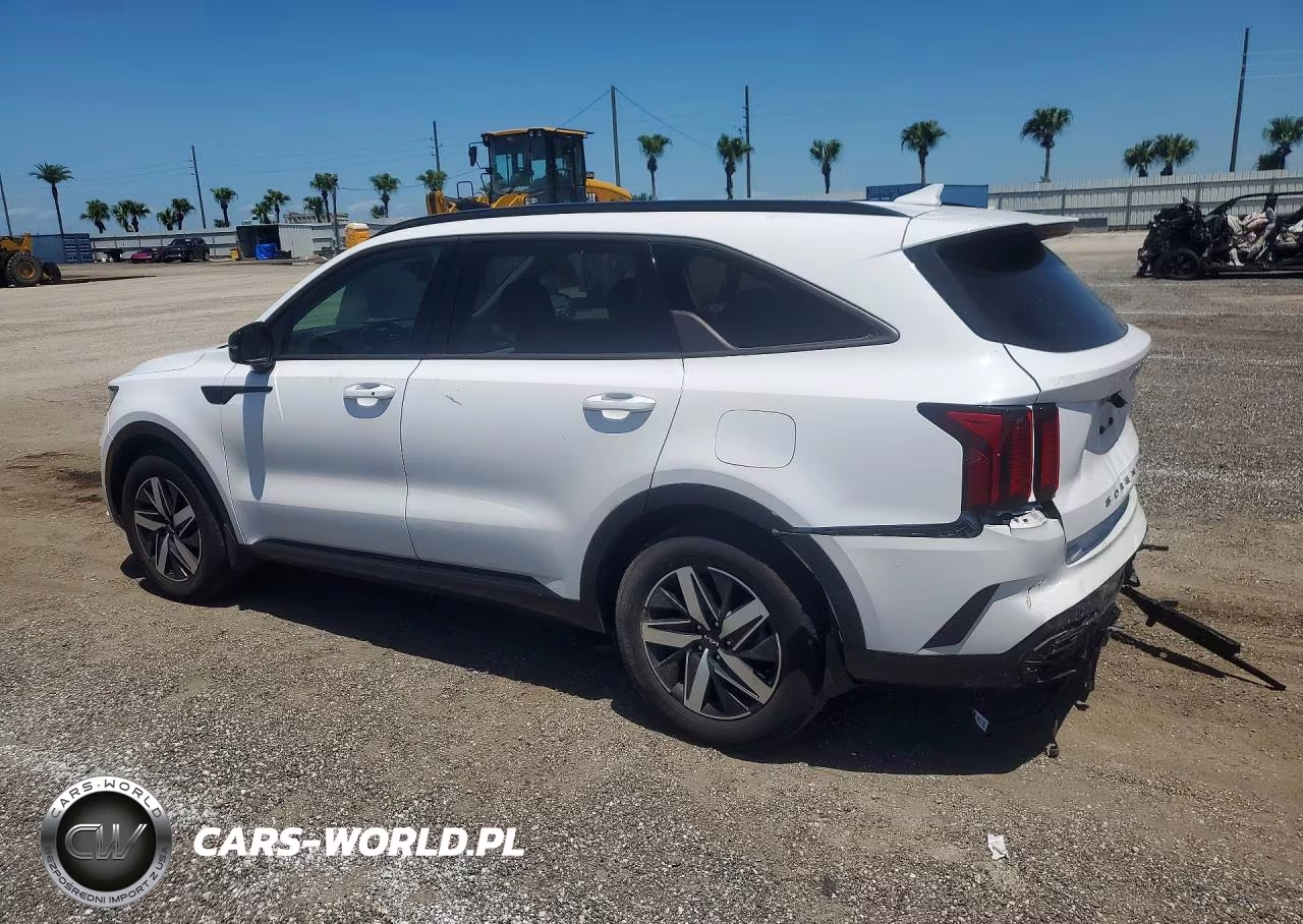 2022 Kia Sorento S VIN:5XYRL4LC4NG147953 - 2