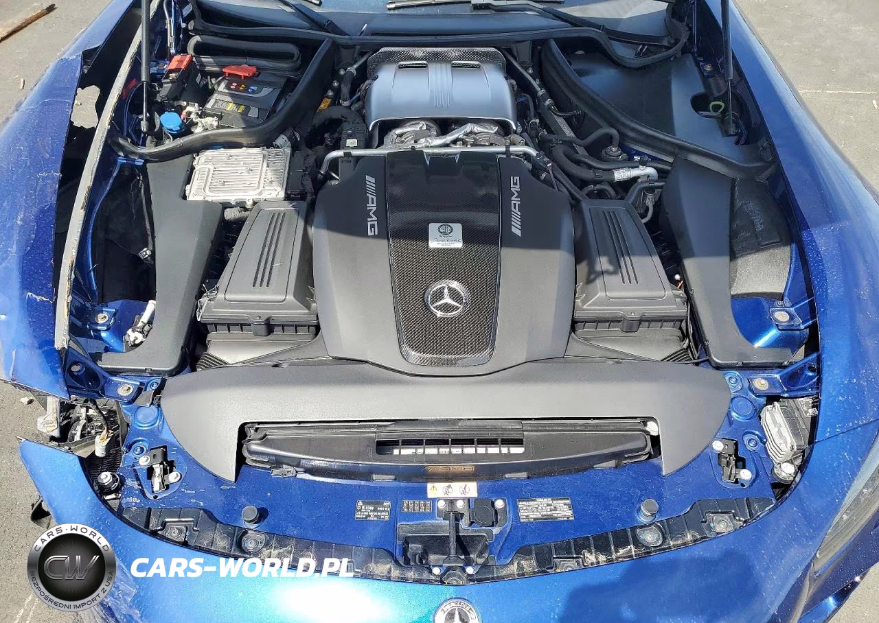 2020 Mercedes-Benz Amg Gt R VIN:WDDYK7KA6LA028613 - 11