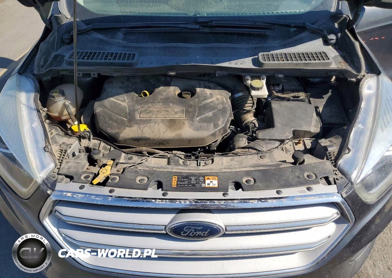 2019 Ford Escape Titanium VIN:1FMCU0J96KUC32253 - 12