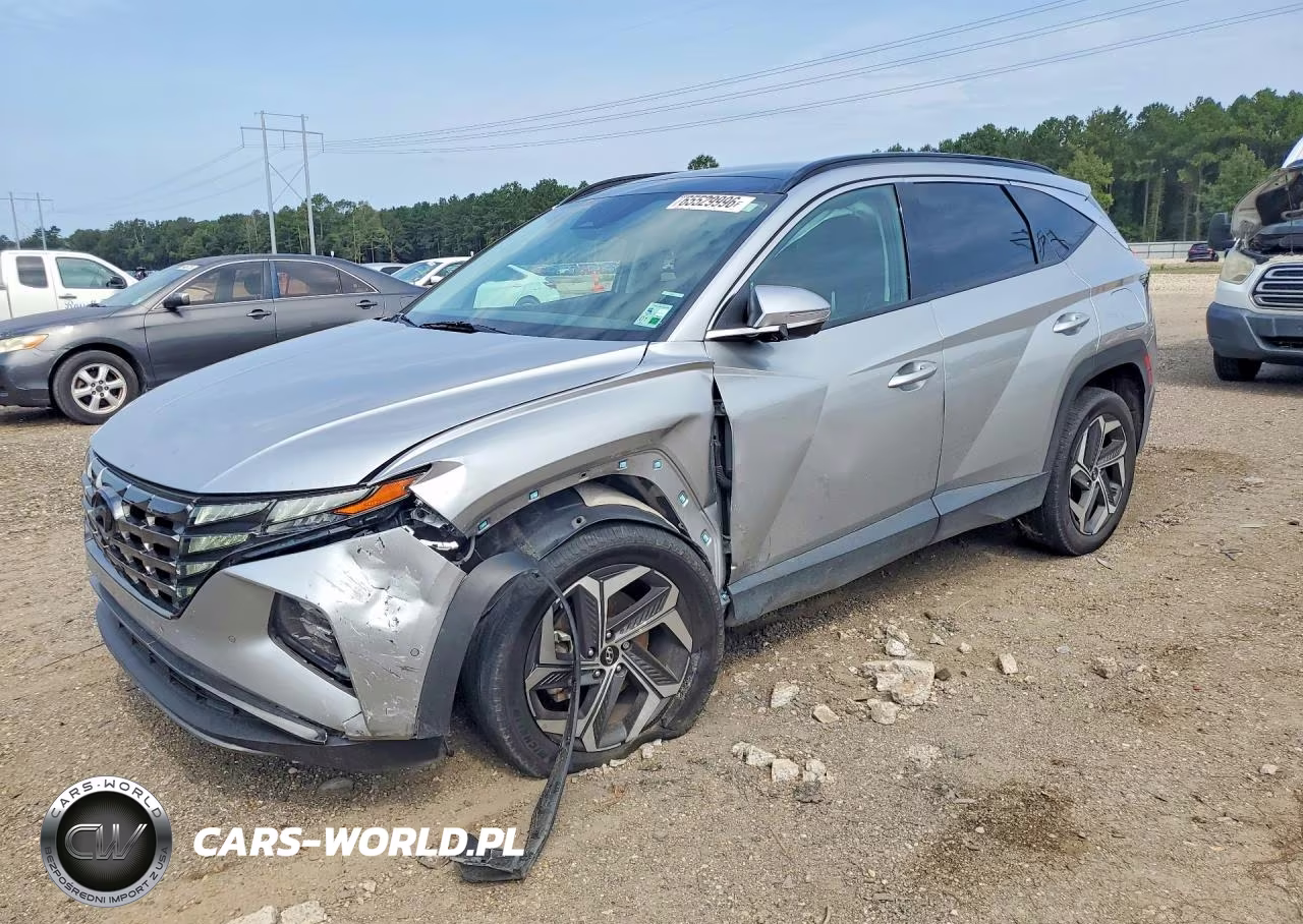 2023 Hyundai Tucson Limited VIN:5NMJECAE3PH161664 - 1