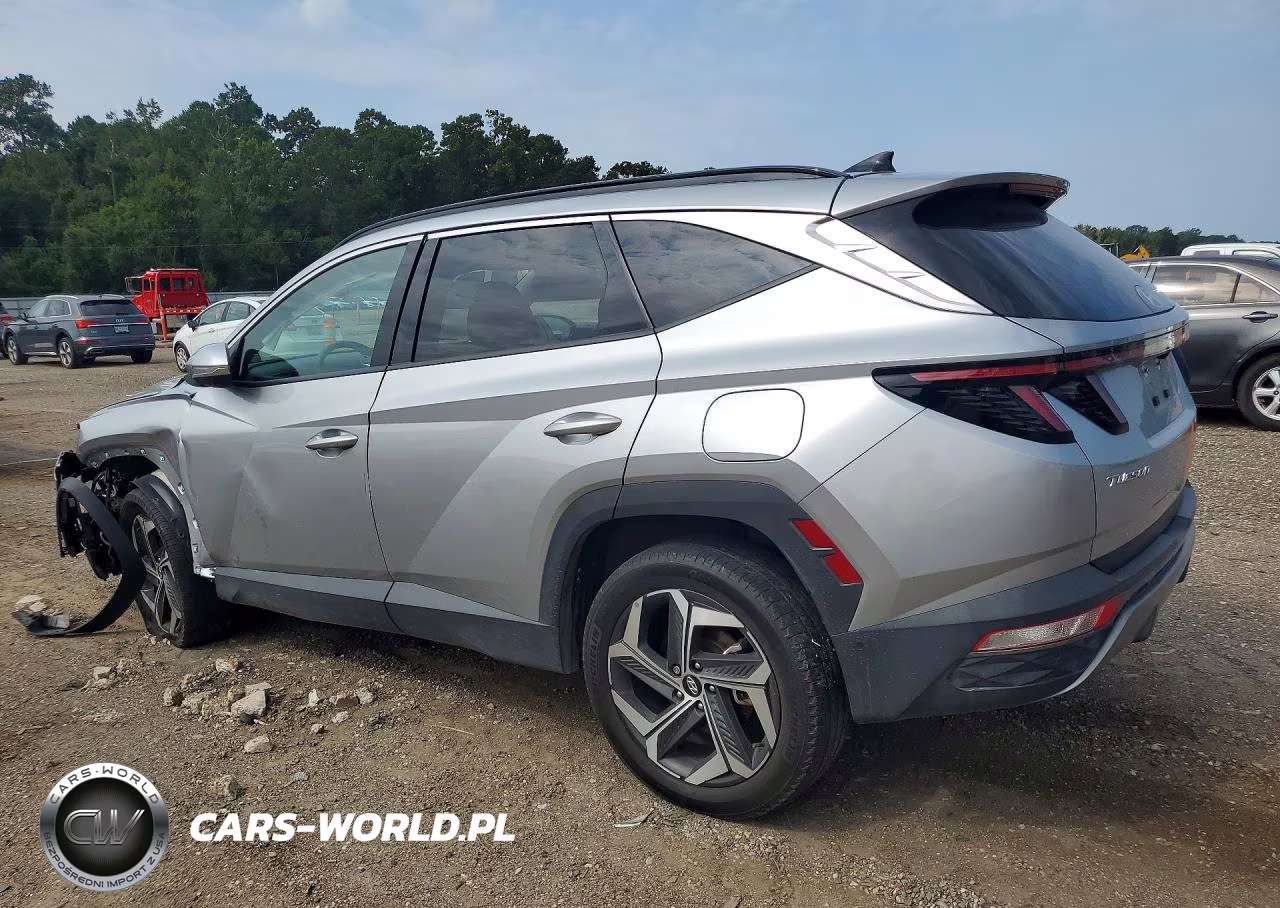 2023 Hyundai Tucson Limited VIN:5NMJECAE3PH161664 - 2