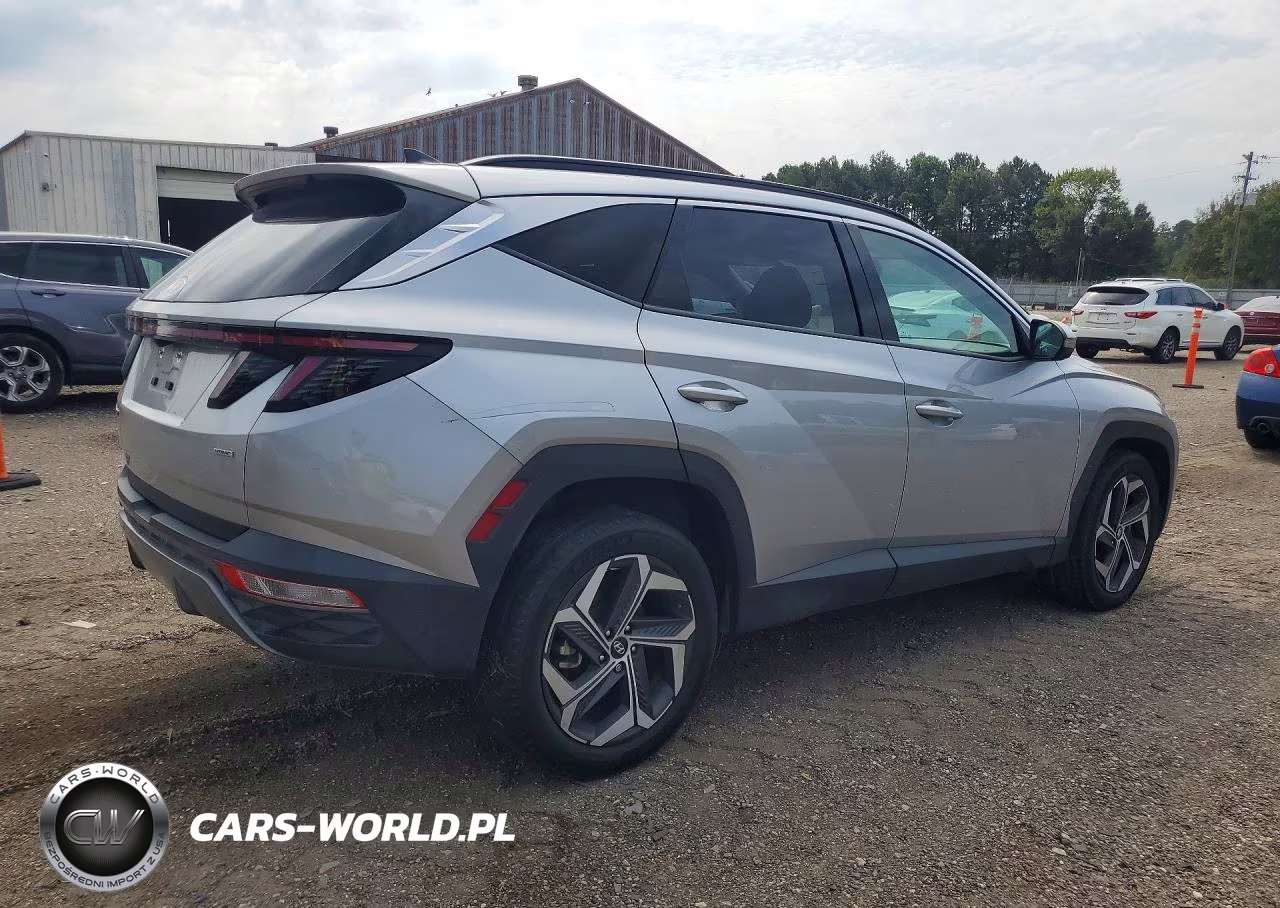 2023 Hyundai Tucson Limited VIN:5NMJECAE3PH161664 - 3