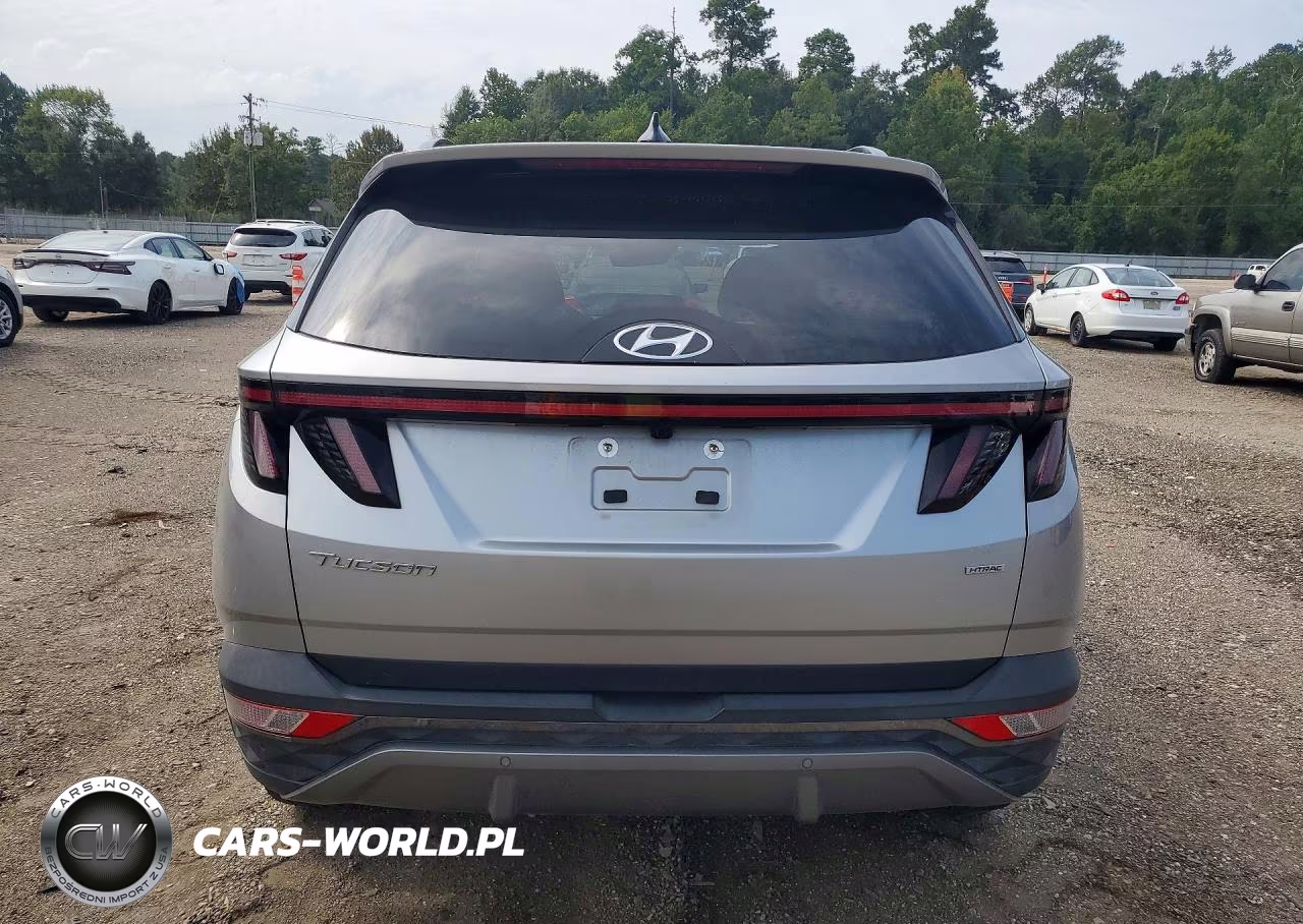 2023 Hyundai Tucson Limited VIN:5NMJECAE3PH161664 - 6