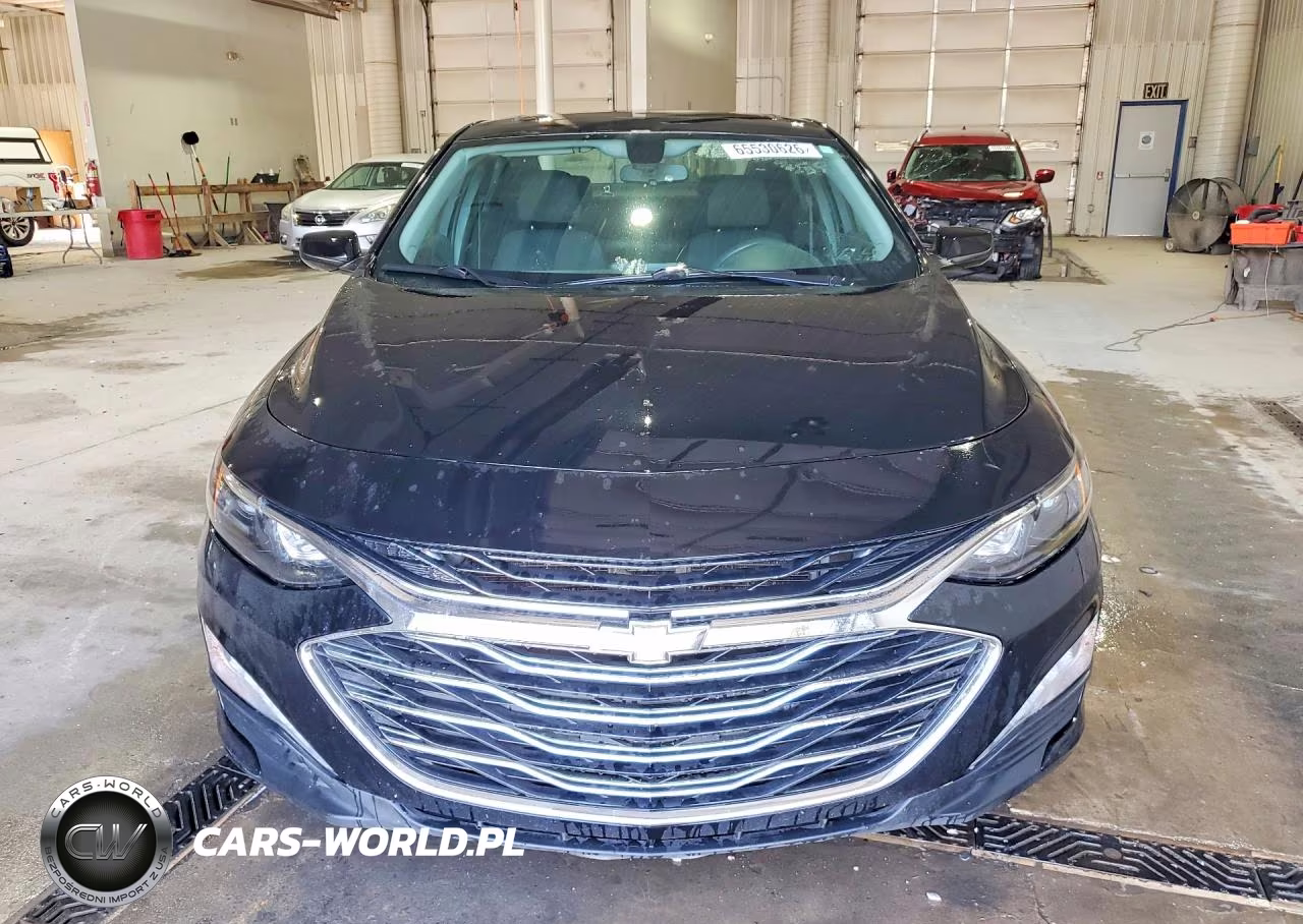 2019 Chevrolet Malibu Lt VIN:1G1ZD5ST8KF141407 - 5