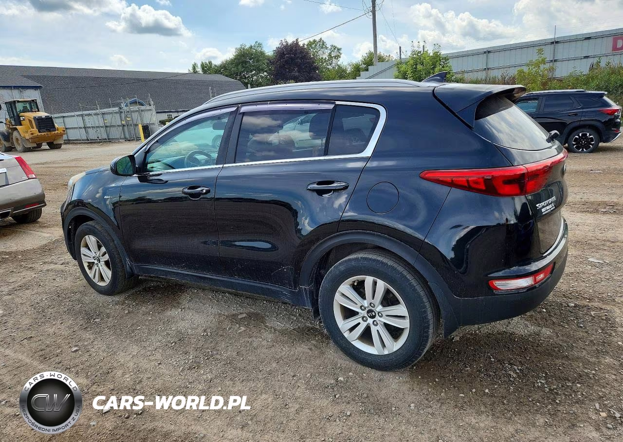 2017 Kia Sportage Lx VIN:KNDPMCAC8H7036650 - 2