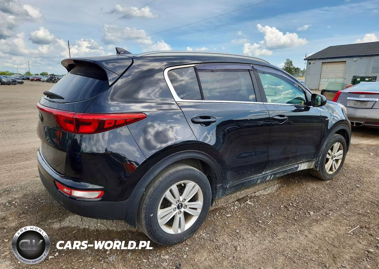 2017 Kia Sportage Lx VIN:KNDPMCAC8H7036650 - 3