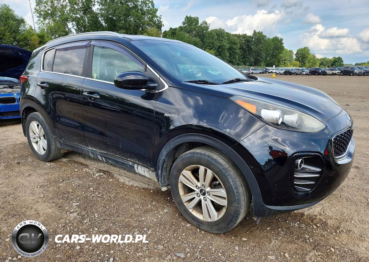 2017 Kia Sportage Lx VIN:KNDPMCAC8H7036650 - 4