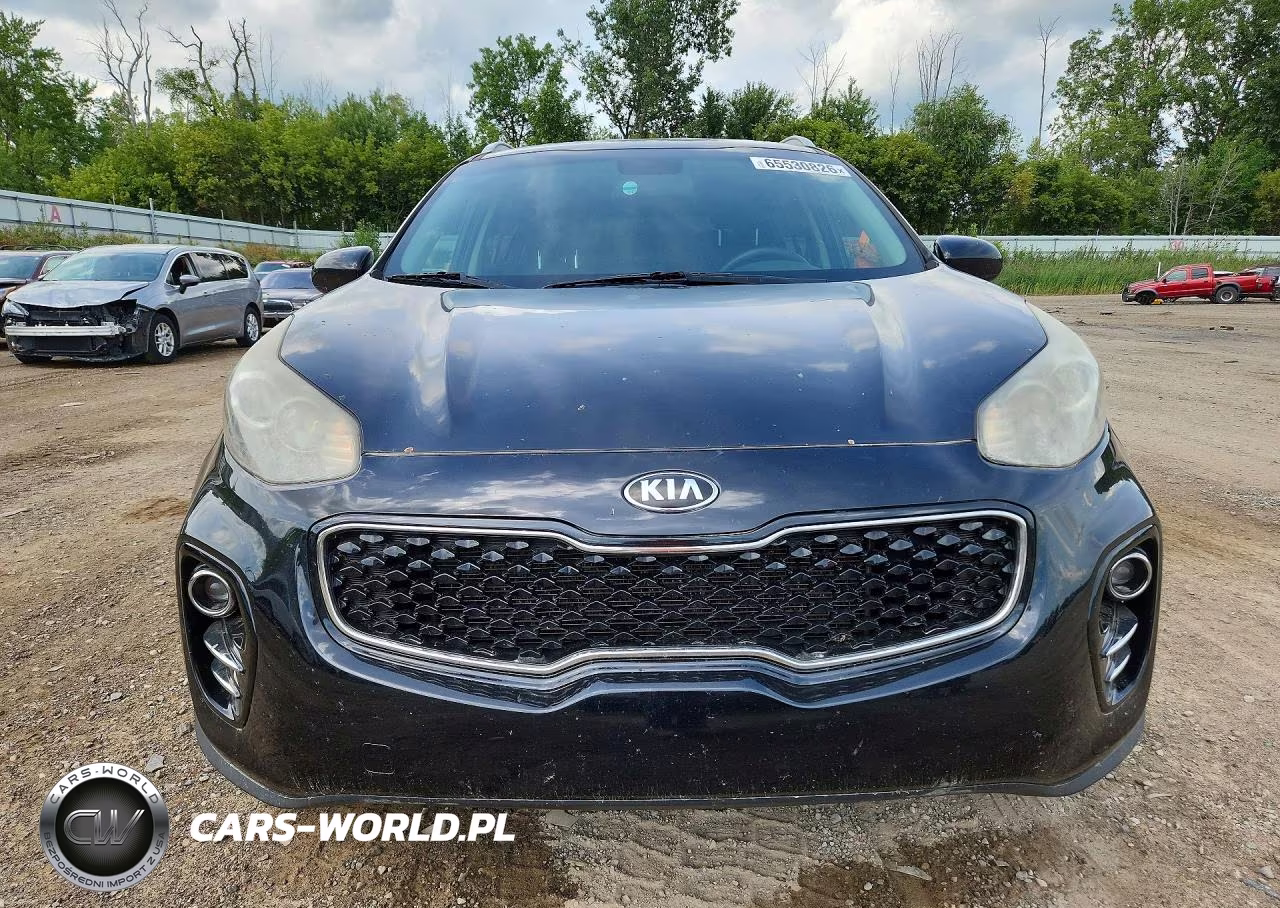 2017 Kia Sportage Lx VIN:KNDPMCAC8H7036650 - 5