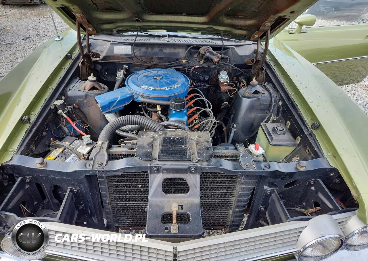 1970 Ford Fairlane VIN:0B29L152269 - 11