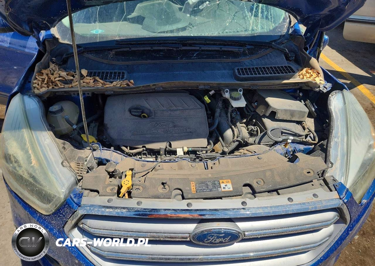 2017 Ford Escape Se VIN:1FMCU0GD6HUC79898 - 12