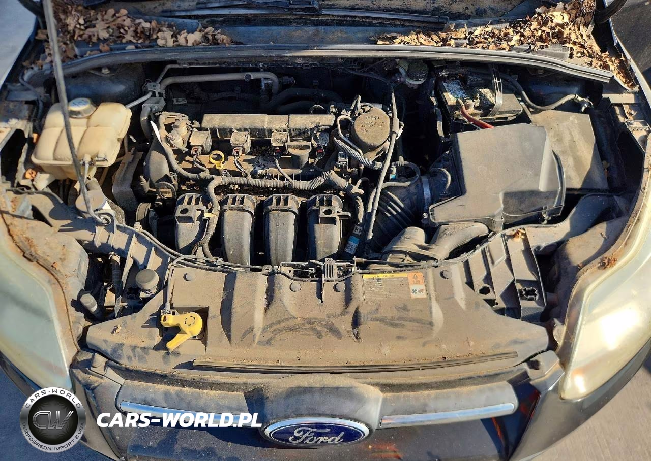 2013 Ford Focus Se VIN:1FADP3K21DL339034 - 11