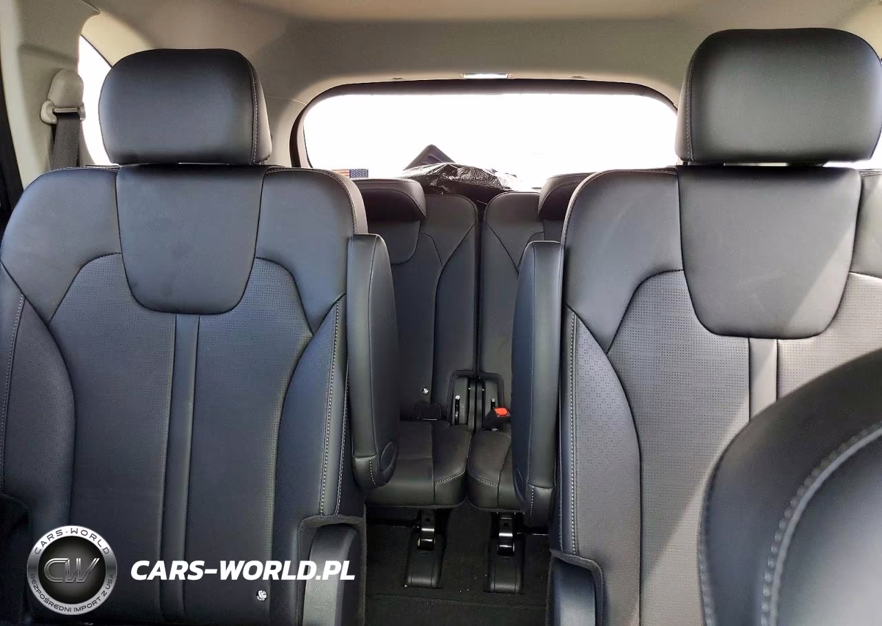2025 Kia Sorento X-Line Sx VIN:5XYRKDJF6SG403800 - 10