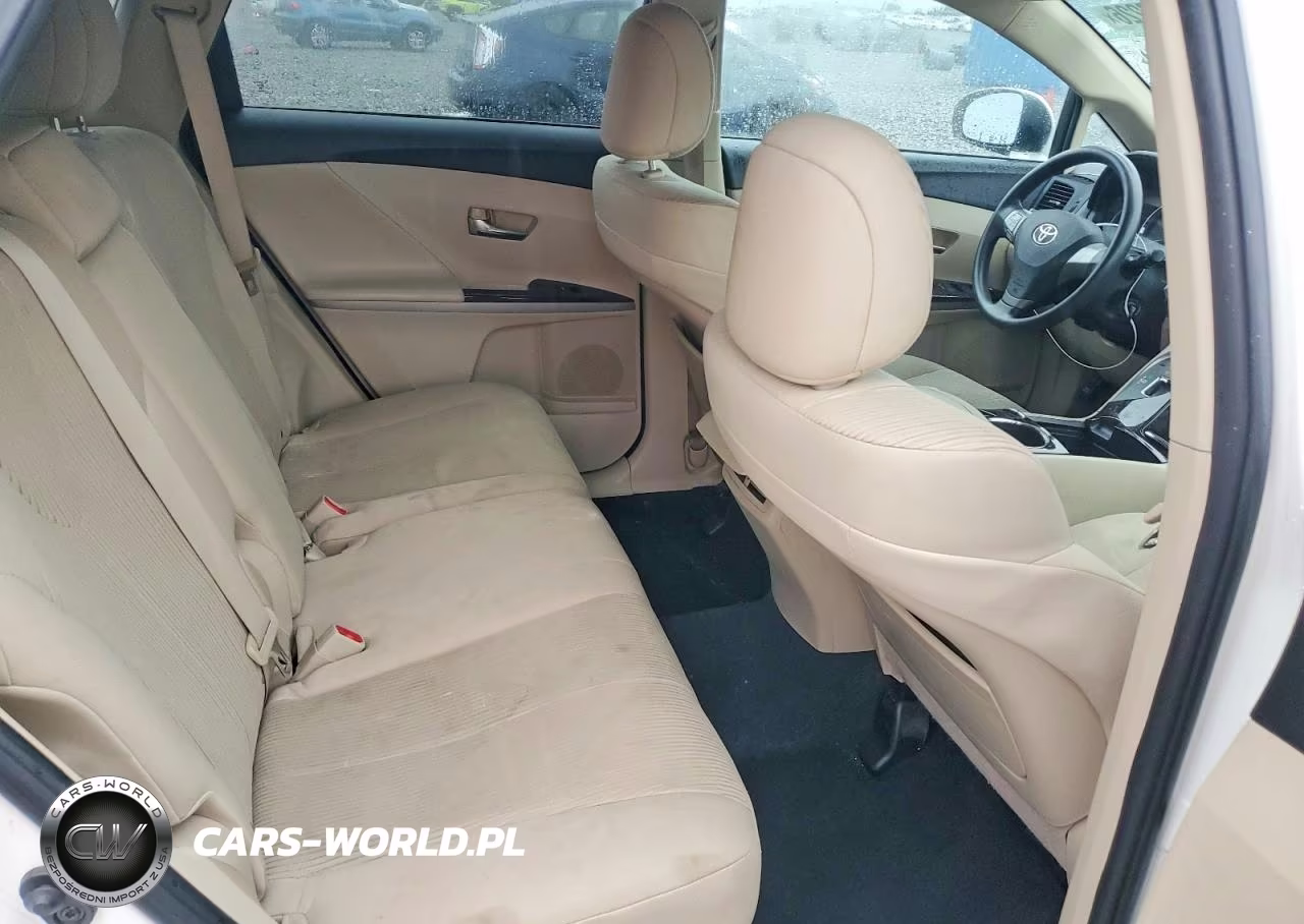 2009 Toyota Venza Fwd 4Cyl VIN:4T3ZE11A29U007319 - 10