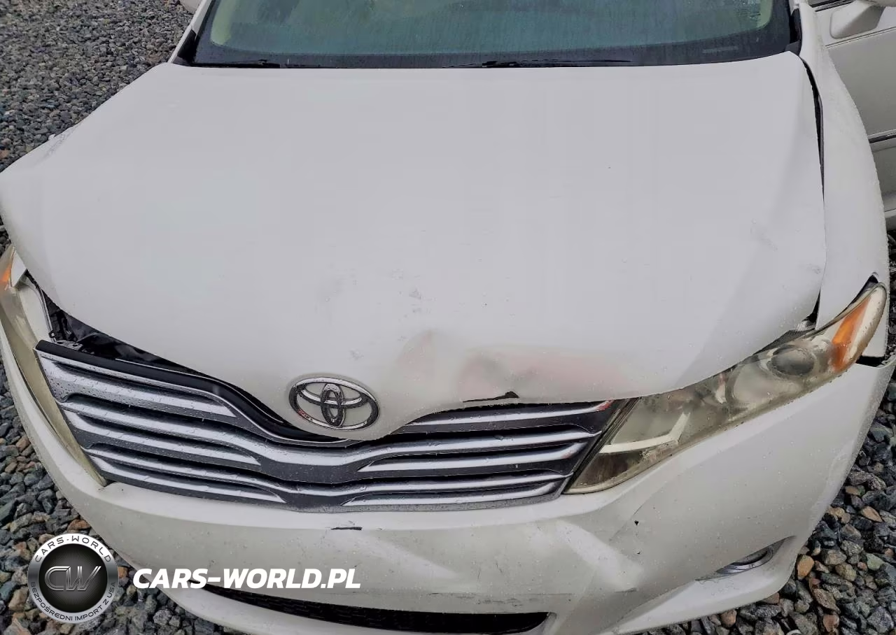 2009 Toyota Venza Fwd 4Cyl VIN:4T3ZE11A29U007319 - 11