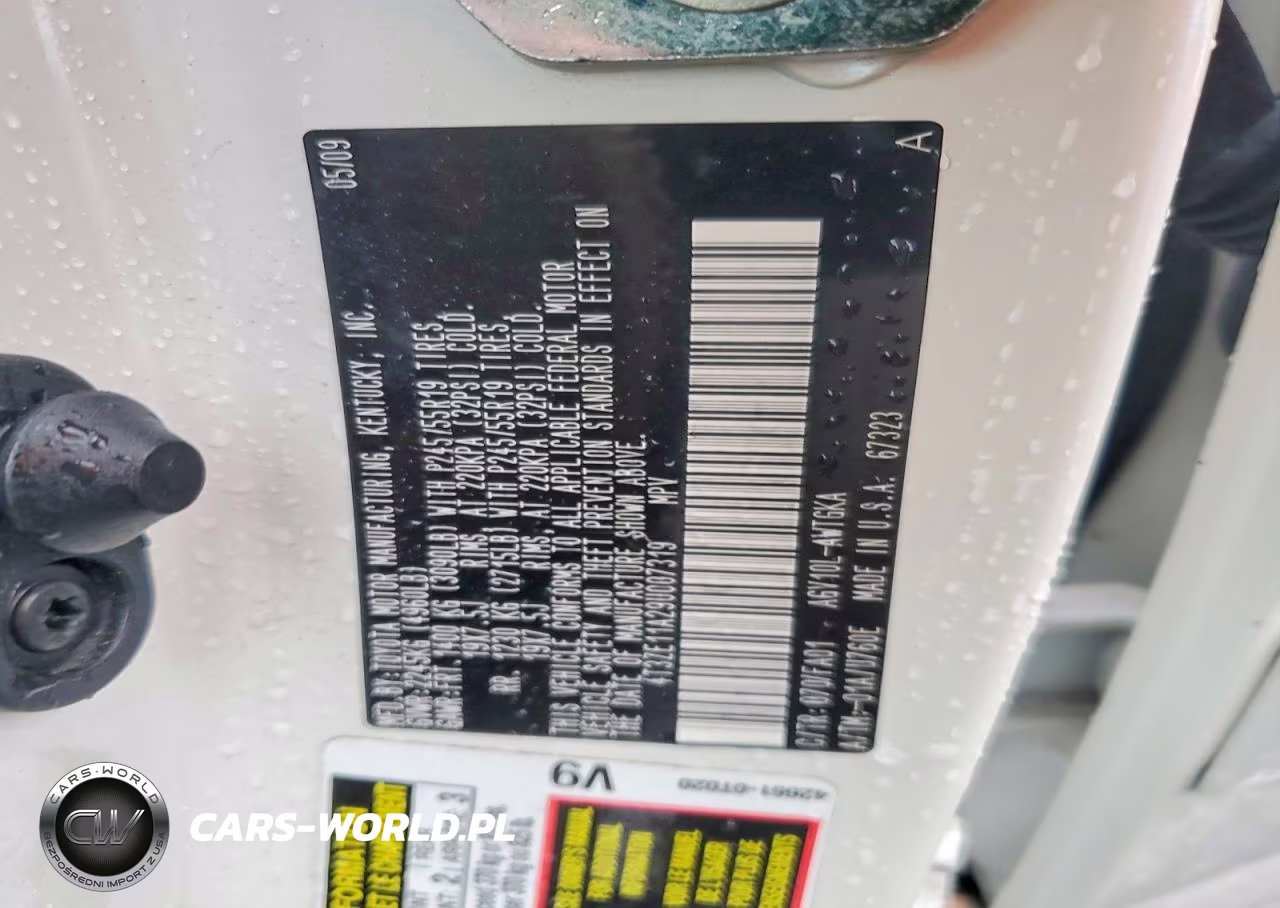 2009 Toyota Venza Fwd 4Cyl VIN:4T3ZE11A29U007319 - 12
