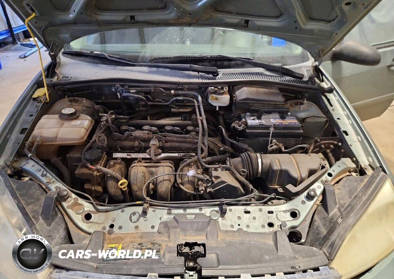 2006 Ford Focus Zx5 VIN:1FAHP37N66W184261 - 11