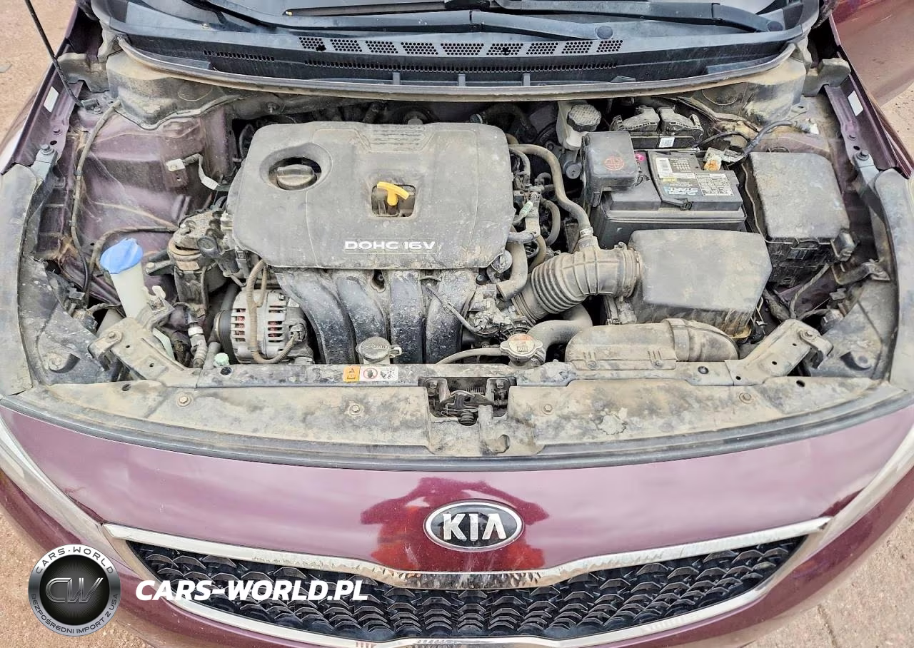 2017 Kia Forte Lx VIN:3KPFK4A78HE083641 - 11