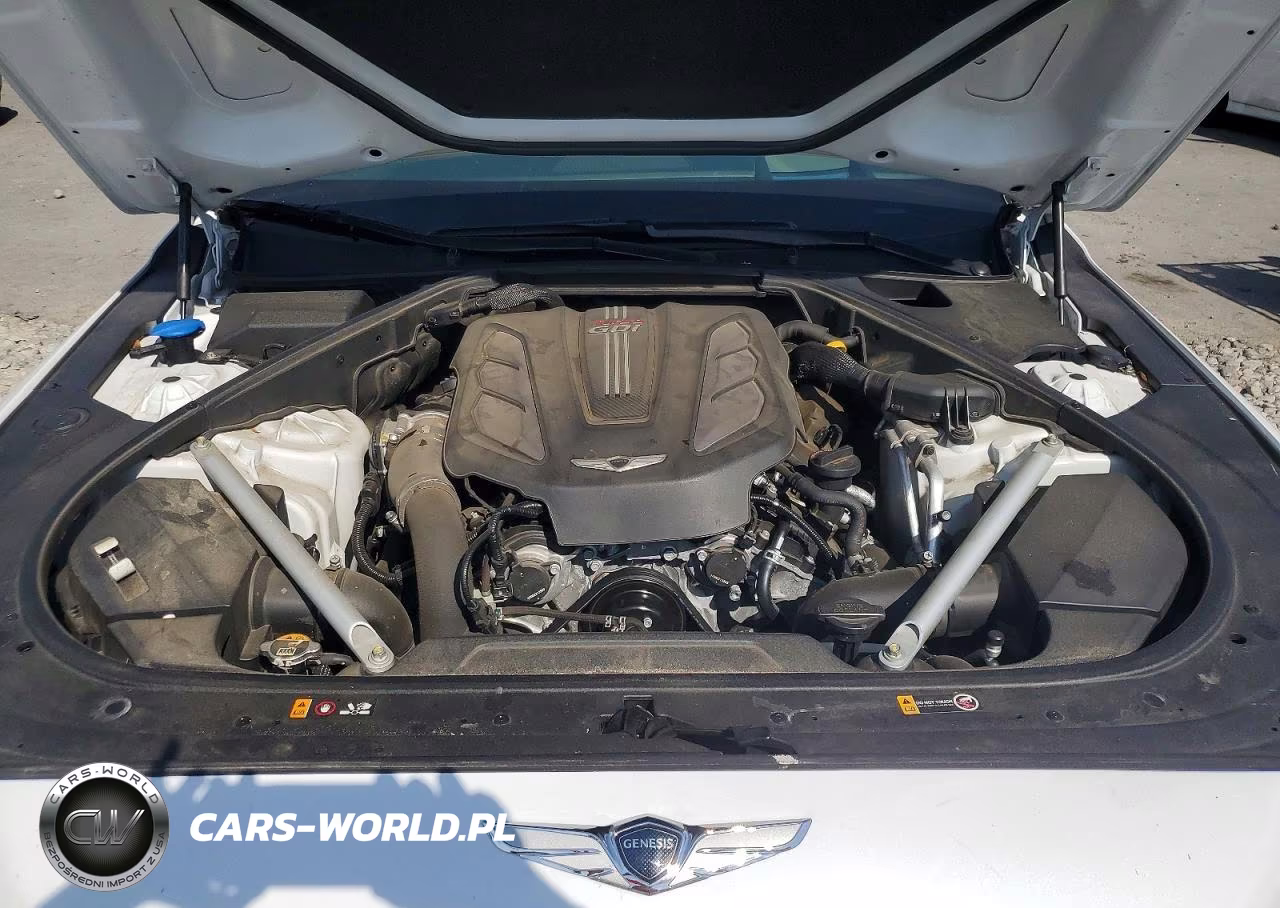 2019 Genesis G90 Premium VIN:KMTF34JA1KU058714 - 11