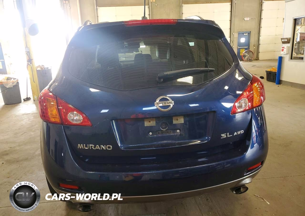 2010 Nissan Murano S VIN:JN8AZ1MW5AW125268 - 6